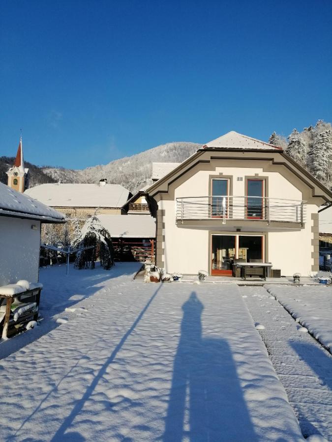 Villa Hisa Haasberg Planina  Exterior foto