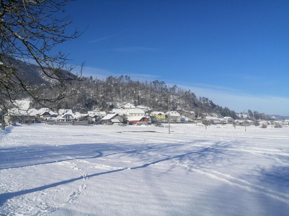 Villa Hisa Haasberg Planina  Exterior foto